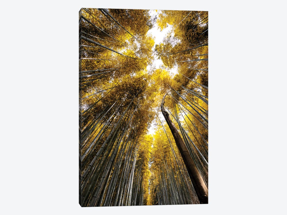 Arashiyama Bamboo Forest V by Philippe Hugonnard 1-piece Art Print