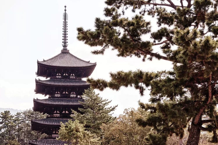 Kofukuji Temple Nara