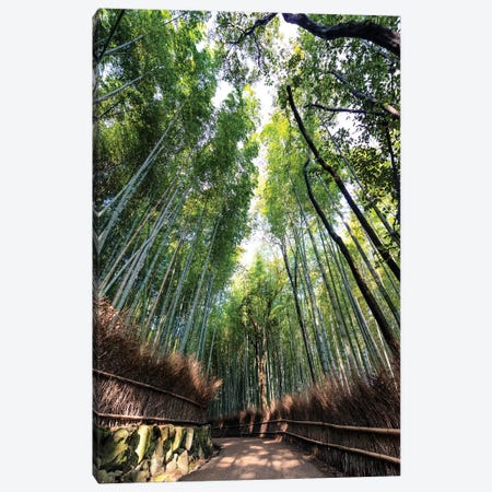 Kyoto'S Bamboo Forest Canvas Print #PHD855} by Philippe Hugonnard Canvas Art