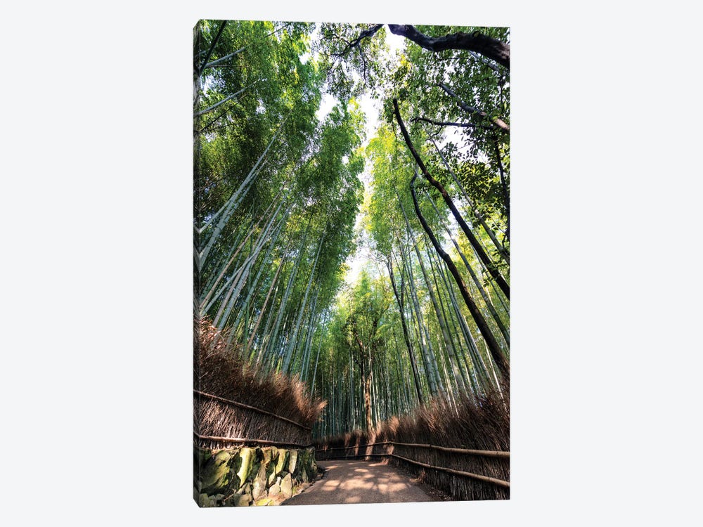 Kyoto'S Bamboo Forest by Philippe Hugonnard 1-piece Canvas Print