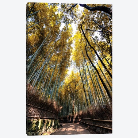 Kyoto'S Bamboo Forest II Canvas Print #PHD856} by Philippe Hugonnard Canvas Artwork