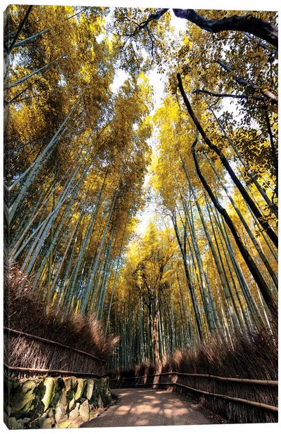 Kyoto'S Bamboo Forest II Canvas Art Print - Bamboo Art