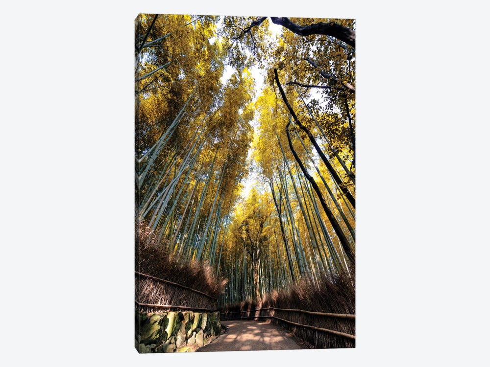 Kyoto'S Bamboo Forest II by Philippe Hugonnard 1-piece Canvas Artwork