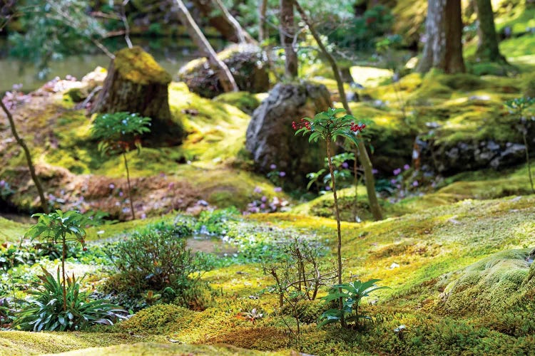 Beautiful Moss Garden