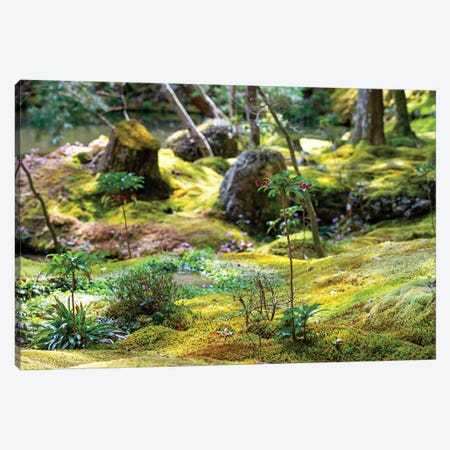 Beautiful Moss Garden Canvas Print #PHD857} by Philippe Hugonnard Canvas Artwork
