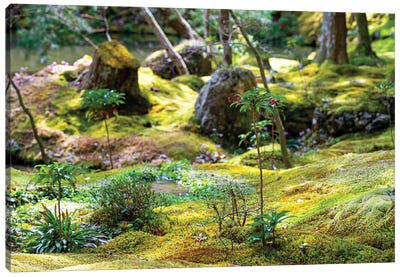 Beautiful Moss Garden Canvas Art Print - Japan Rising Sun