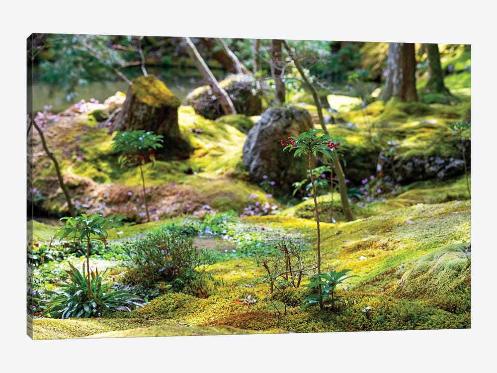 Beautiful Moss Garden by Philippe Hugonnard 1-piece Canvas Print