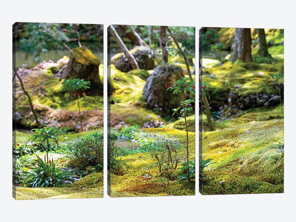 Beautiful Moss Garden by Philippe Hugonnard 3-piece Art Print