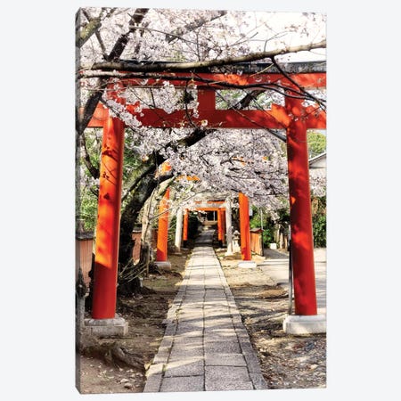 Cherry Blossoms And Torii Canvas Print #PHD858} by Philippe Hugonnard Canvas Print