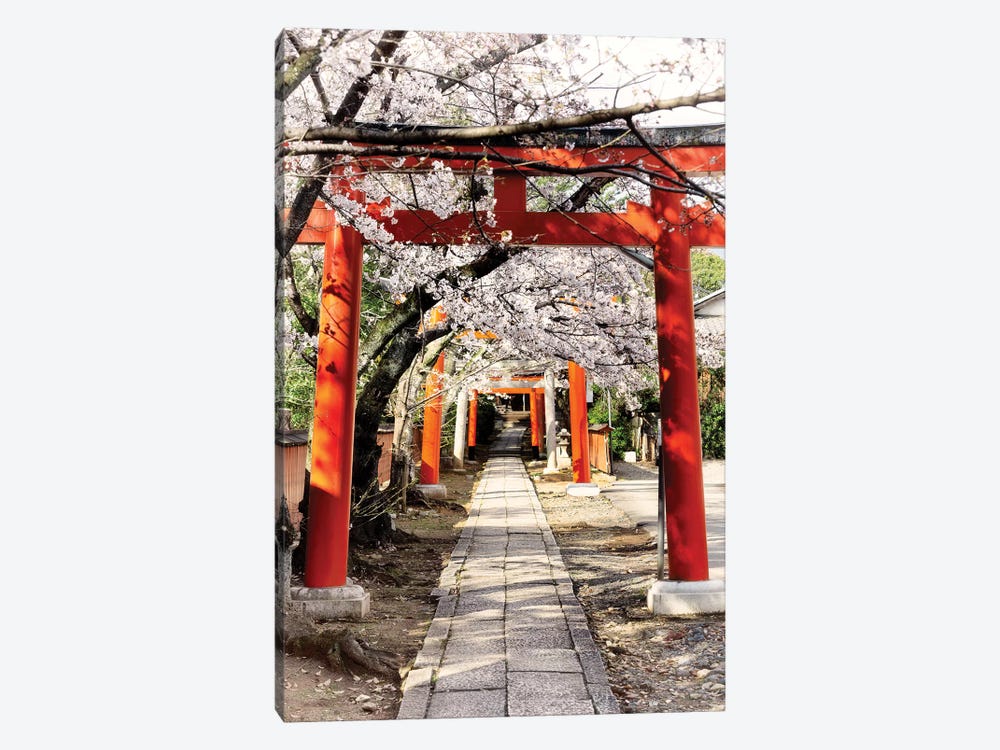 Cherry Blossoms And Torii by Philippe Hugonnard 1-piece Canvas Artwork