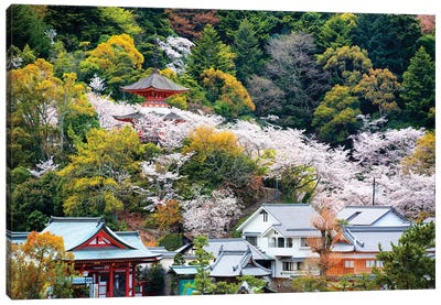 Miyajima Pagoda Cherry Blossom Canvas Art Print - Cherry Tree Art