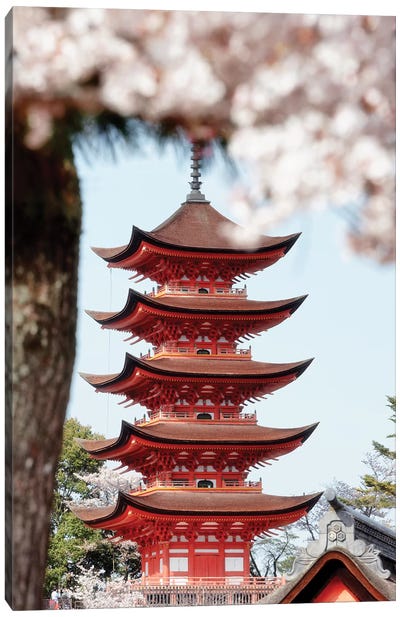Miyajima Pagoda With Sakura Canvas Art Print - Pagodas
