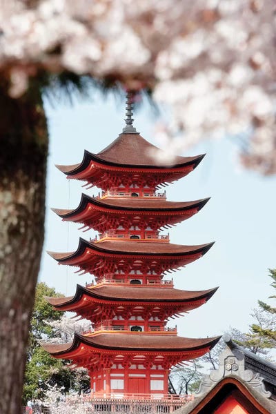 Pagodas: Miyajima Pagoda With Sakura by Philippe Hugonnard