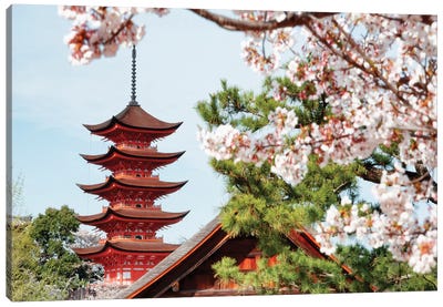 Miyajima Pagoda With Sakura II Canvas Art Print - Pagodas