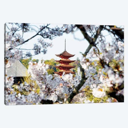Beautiful Pagoda And Sakura In Miyajima Canvas Print #PHD870} by Philippe Hugonnard Art Print