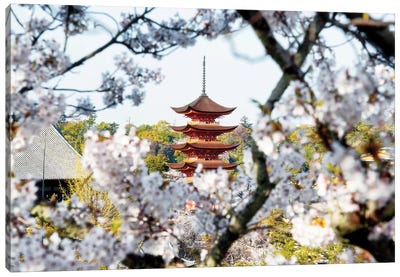 Beautiful Pagoda And Sakura In Miyajima Canvas Art Print - Pagodas