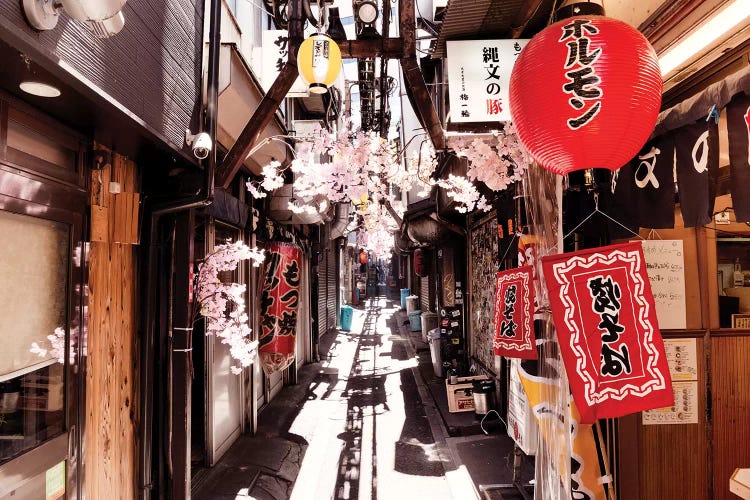 Omoide Yokocho Shinjuku