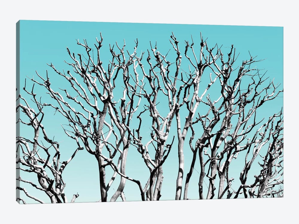 Pastel Tree III by Philippe Hugonnard 1-piece Canvas Print