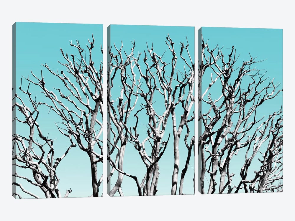 Pastel Tree III by Philippe Hugonnard 3-piece Art Print