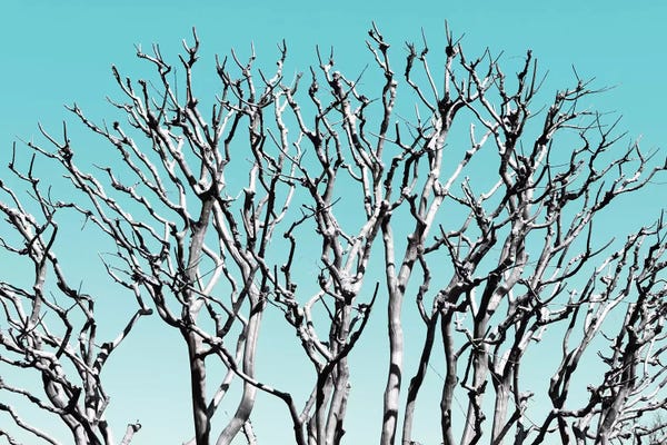 Pastel Tree III