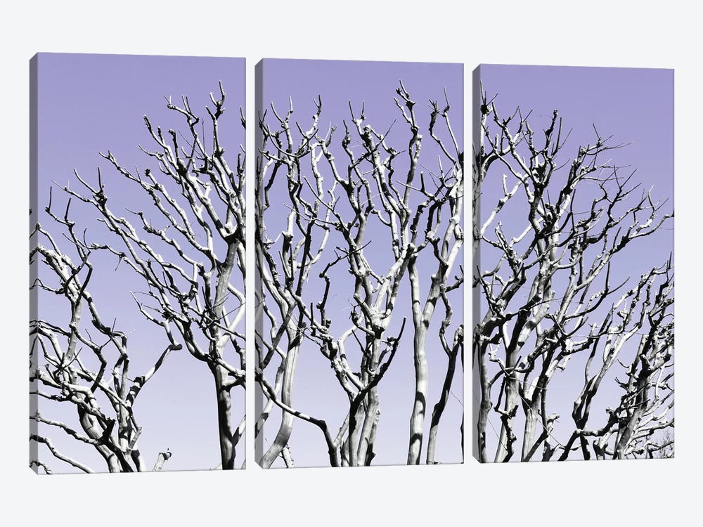 Pastel Tree IV by Philippe Hugonnard 3-piece Canvas Art