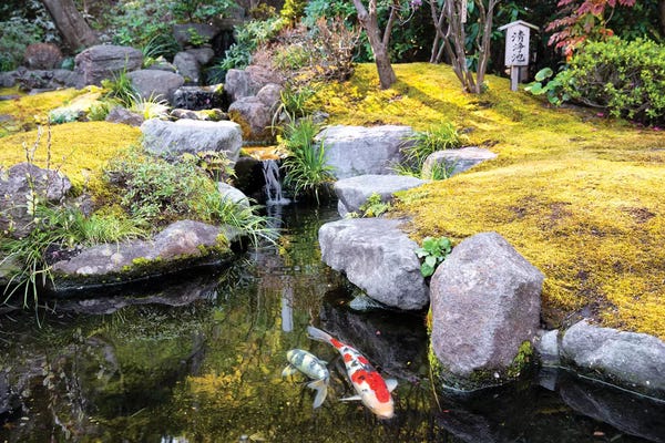 Japan: Japanese River by Philippe Hugonnard