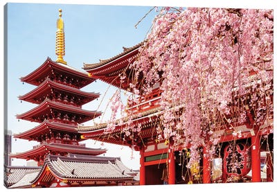 Senso-Ji Pagoda Canvas Art Print - Japan Rising Sun