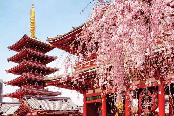 Pagodas: Senso-Ji Pagoda by Philippe Hugonnard
