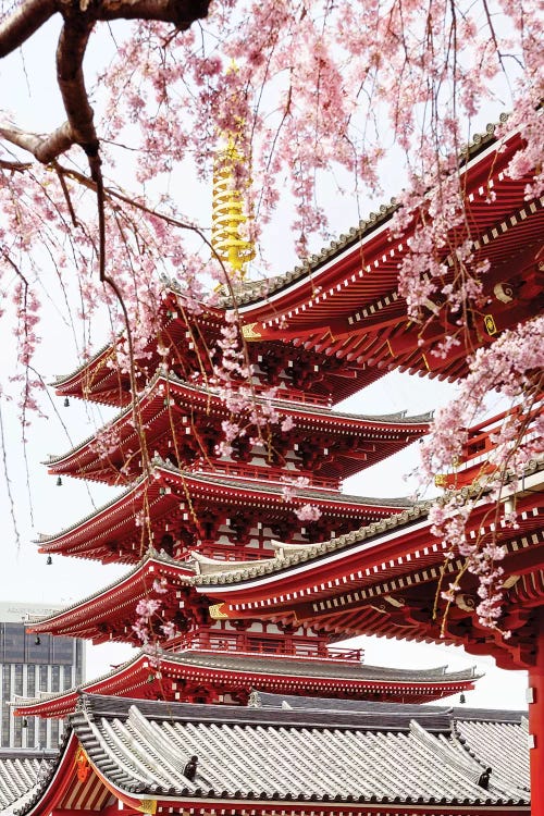 Senso-Ji Pagoda IV by Philippe Hugonnard canvas print