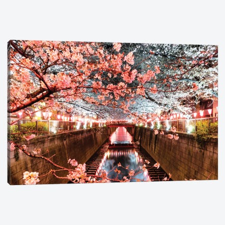 Cherry Blossom At Meguro Canal Canvas Print #PHD898} by Philippe Hugonnard Art Print