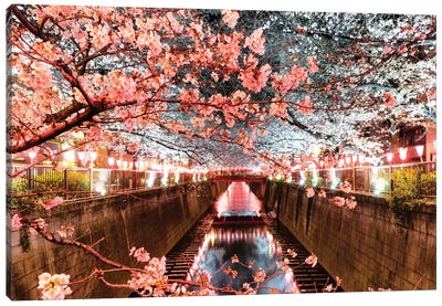 Cherry Blossom At Meguro Canal Canvas Art Print - Blossom Art