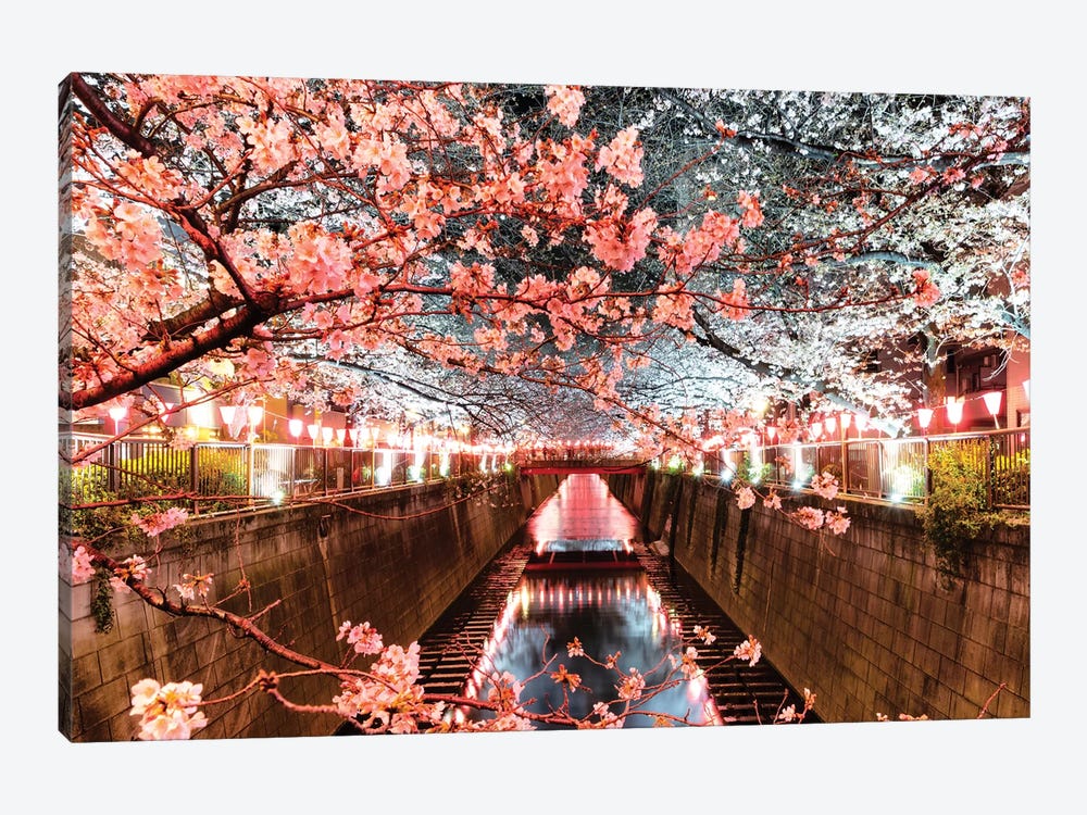 Cherry Blossom At Meguro Canal by Philippe Hugonnard 1-piece Canvas Artwork
