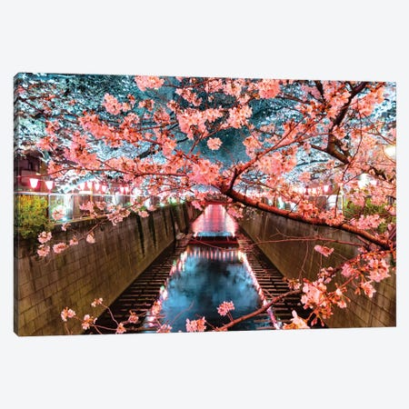 Cherry Blossom At Meguro Canal II Canvas Print #PHD899} by Philippe Hugonnard Art Print