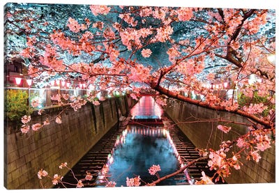 Cherry Blossom At Meguro Canal II Canvas Art Print - Blossom Art