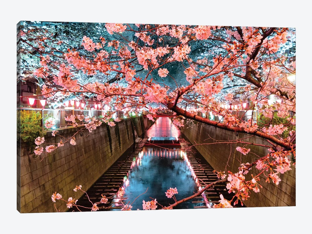 Cherry Blossom At Meguro Canal II by Philippe Hugonnard 1-piece Art Print
