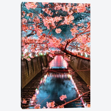 Cherry Blossom At Meguro Canal III Canvas Print #PHD900} by Philippe Hugonnard Canvas Print