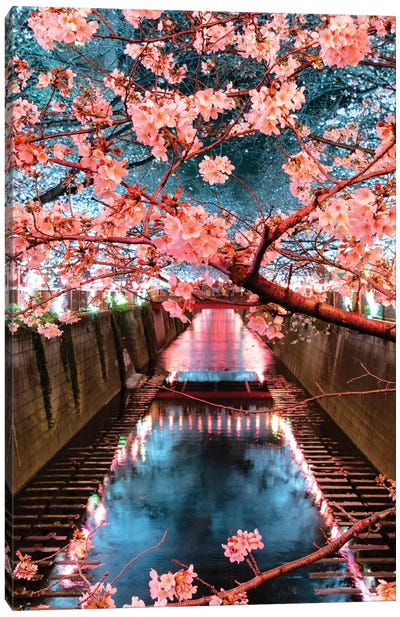 Cherry Blossom At Meguro Canal III Canvas Art Print - Cherry Blossom Art