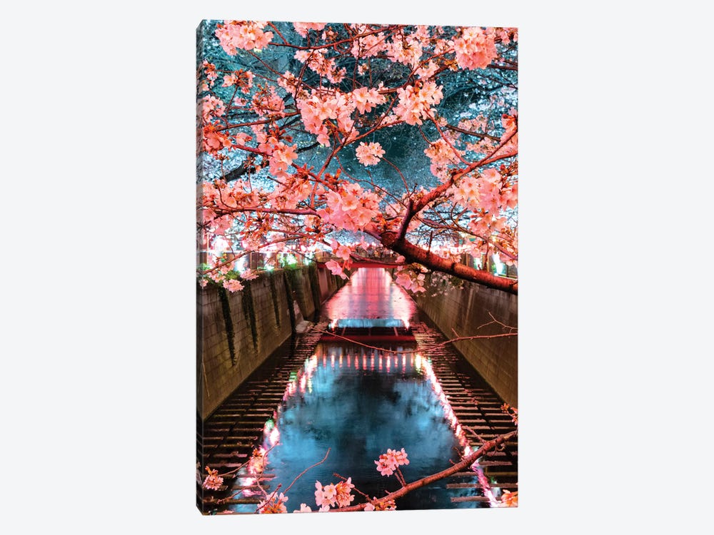 Cherry Blossom At Meguro Canal III by Philippe Hugonnard 1-piece Canvas Artwork