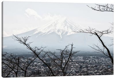 The Mt. Fuji Canvas Art Print - Japanese Culture