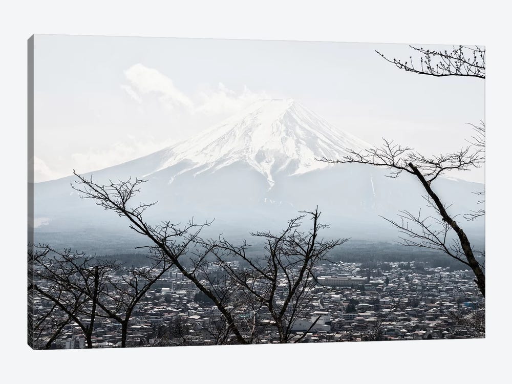 The Mt. Fuji by Philippe Hugonnard 1-piece Canvas Art Print