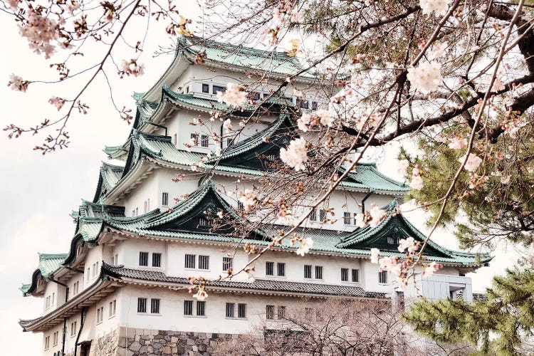 The Nagoya Castle