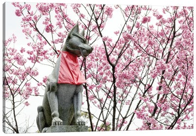 Guard Dog Cherry Blossoms Canvas Art Print - Japan Rising Sun