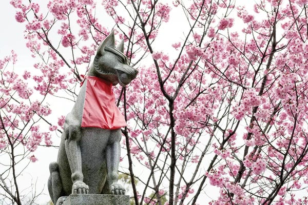 Dog Photography: Guard Dog Cherry Blossoms by Philippe Hugonnard