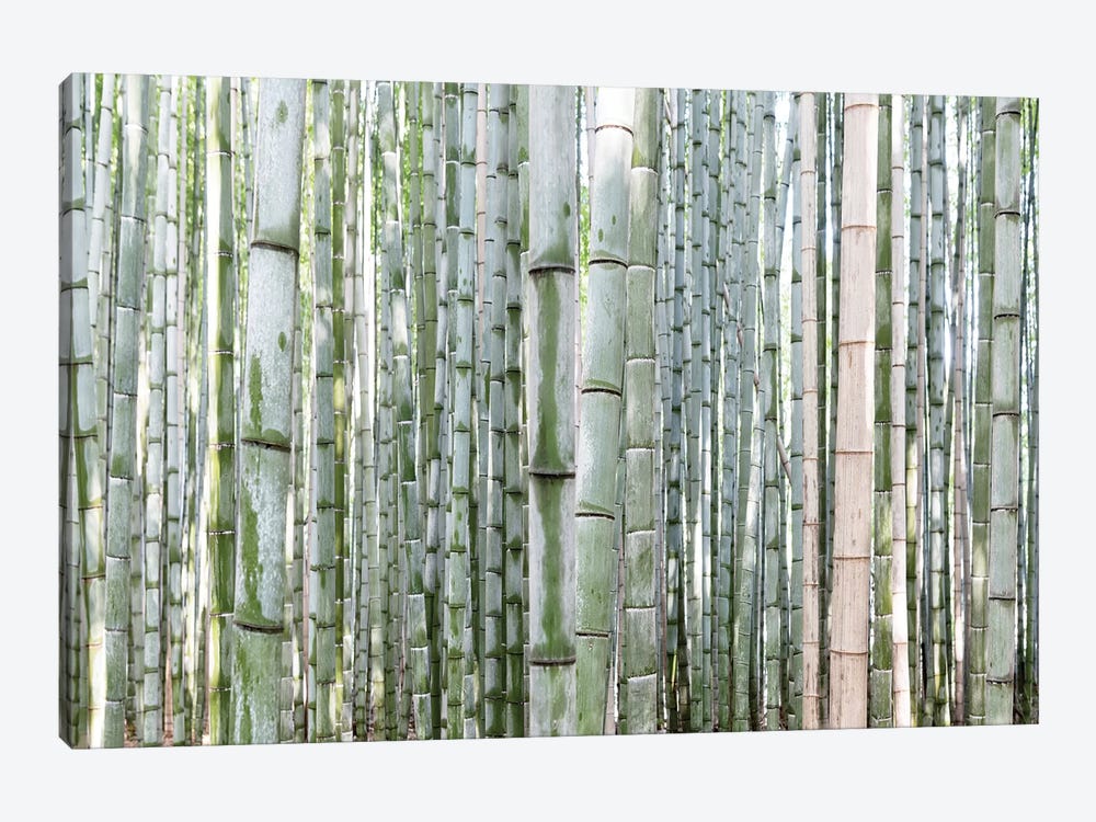 Unlimited Bamboos III 1-piece Canvas Print