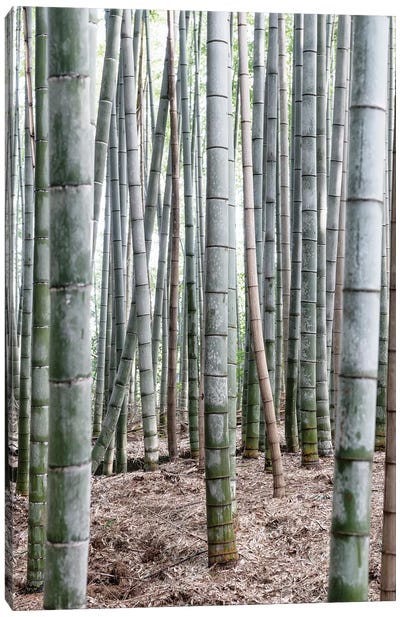Unlimited Bamboos IV Canvas Art Print - Arashiyama Bamboo Forest