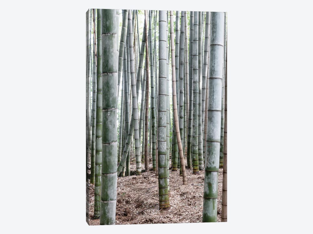 Unlimited Bamboos IV by Philippe Hugonnard 1-piece Canvas Artwork