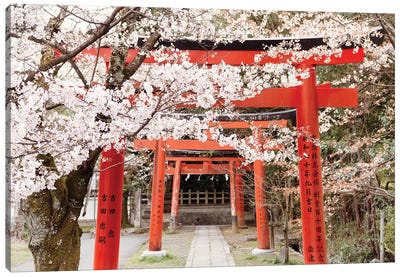 Yoshida Shrine Torii Canvas Art Print - Cherry Blossom Art