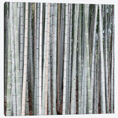 Arashiyama Bamboo Forest Canva - Canvas Art Print | Philippe Hugonnard