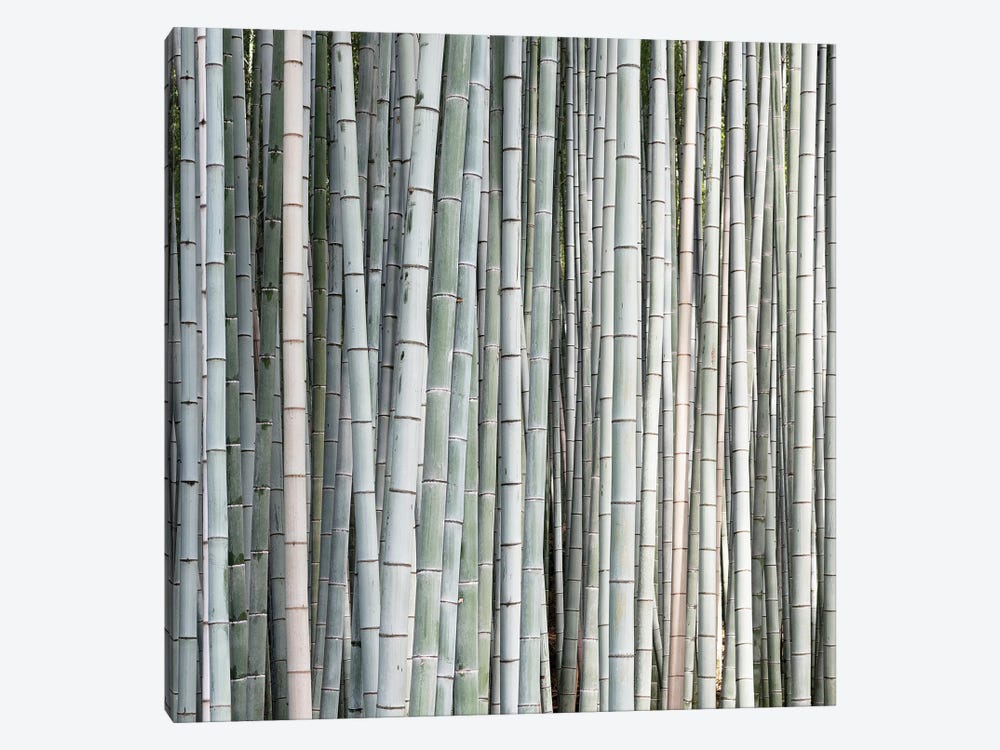 Bamboos II by Philippe Hugonnard 1-piece Art Print