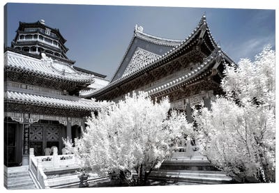 Another Look At China II Canvas Art Print